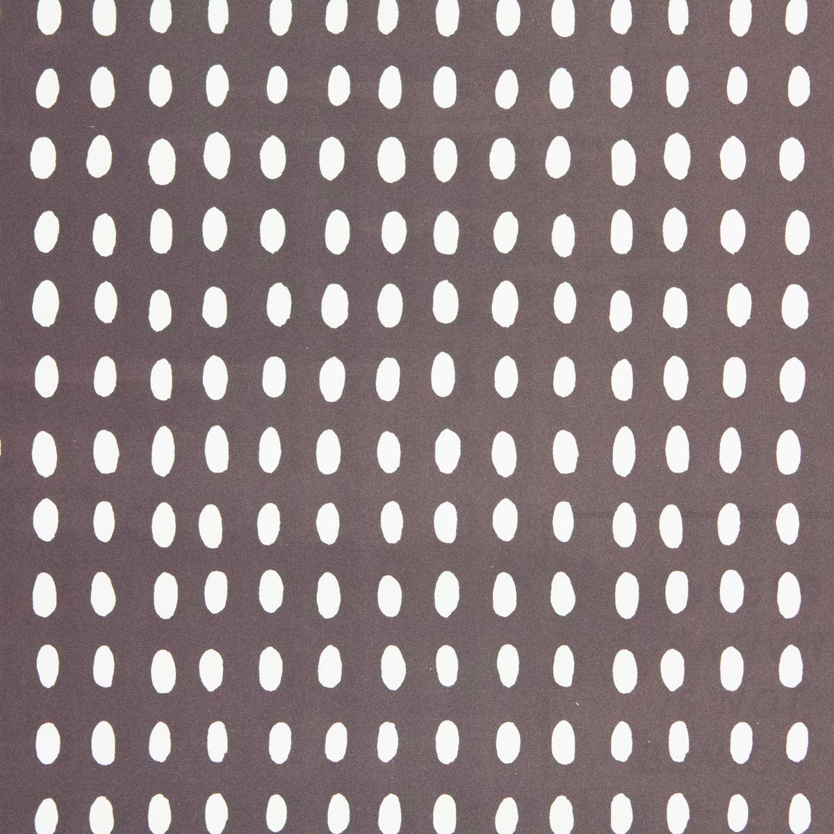 patterned paper • beans