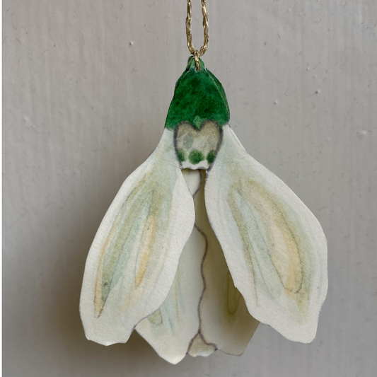 snowdrops · cutouts
