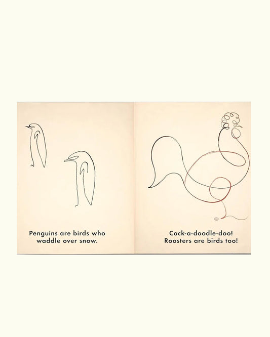 Birds & Other Animals