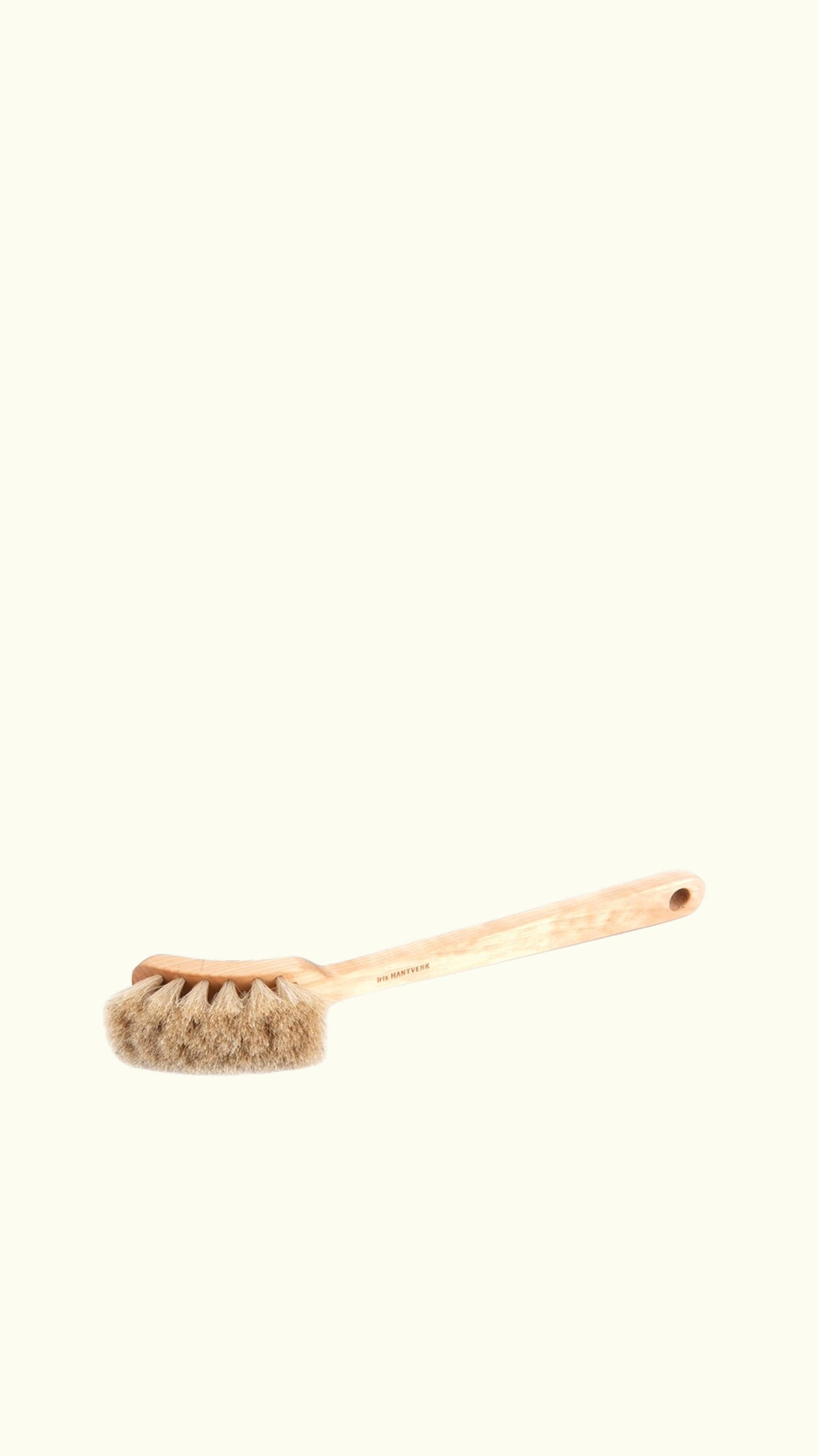 dish brush