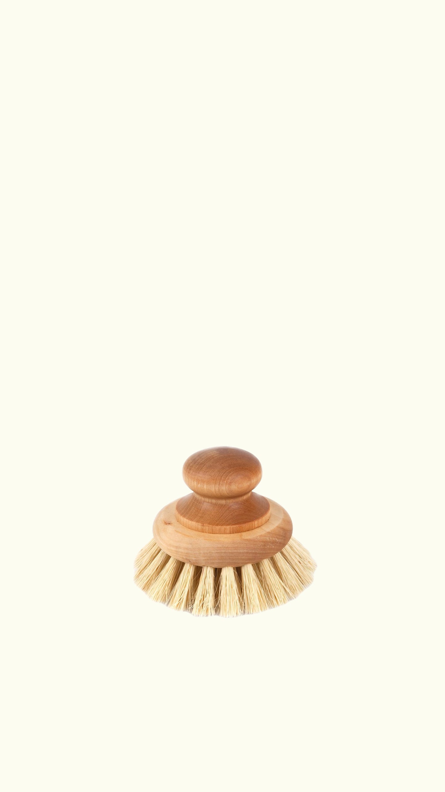 pan brush