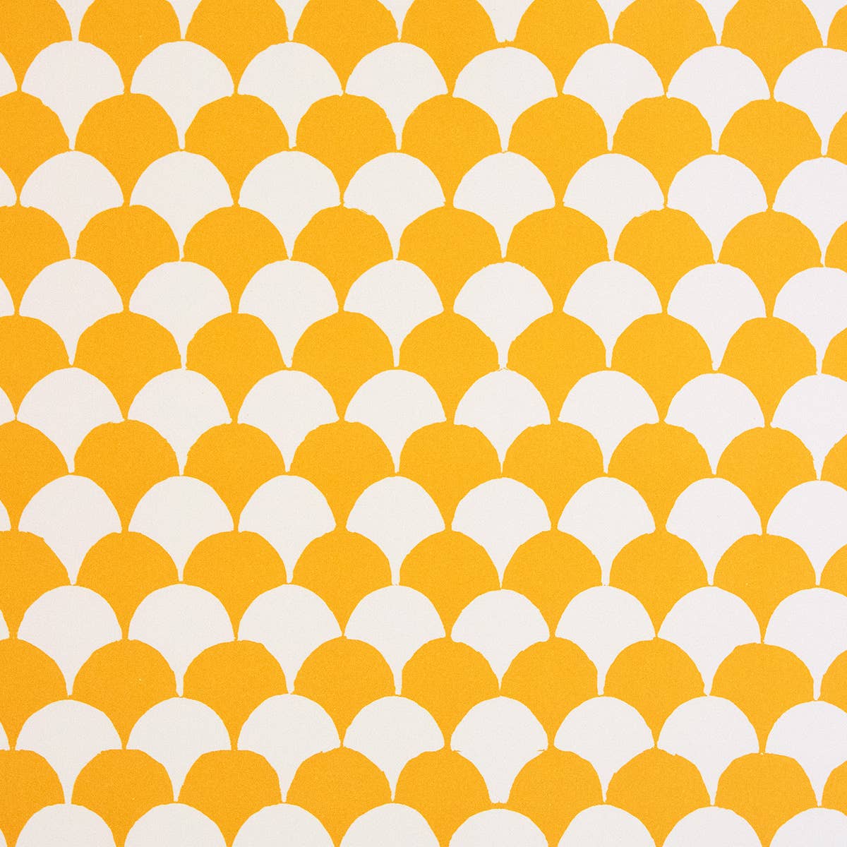 patterned paper • clamshell