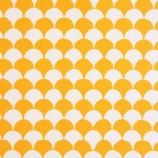 patterned paper • clamshell