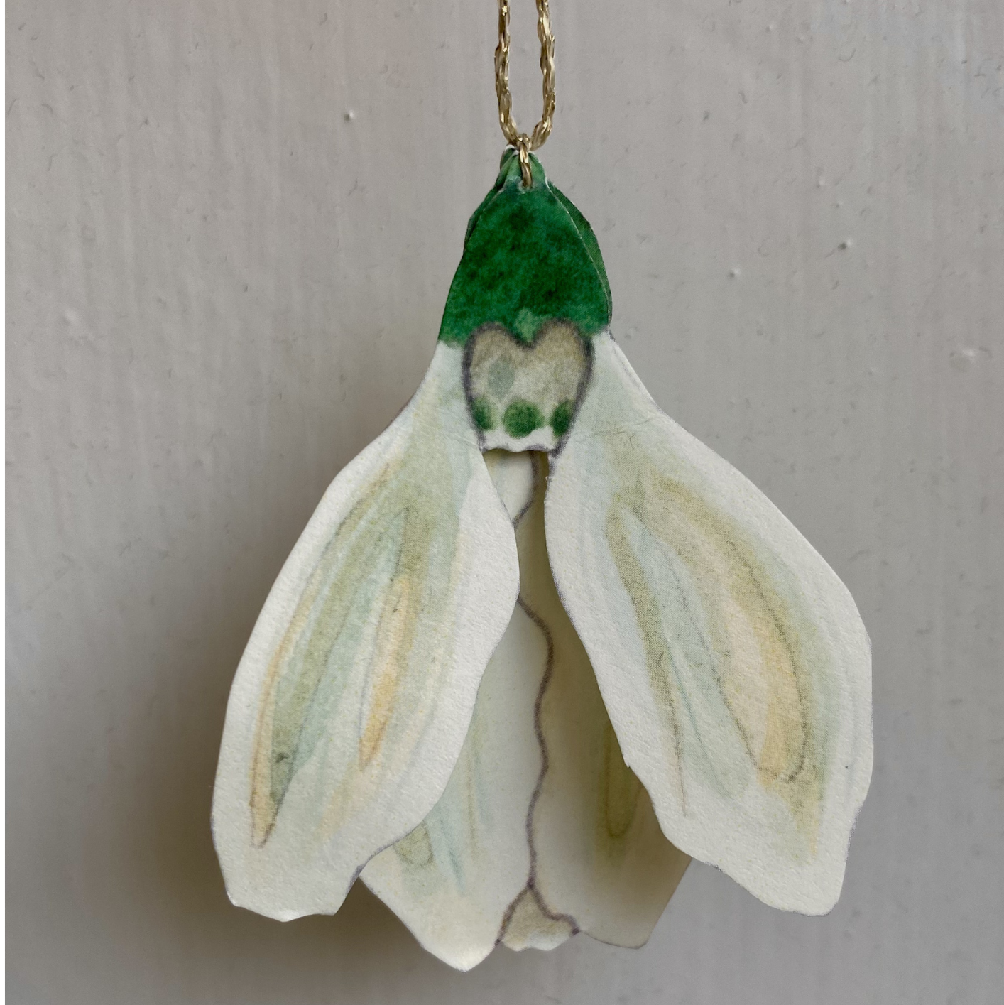 snowdrops · cutouts