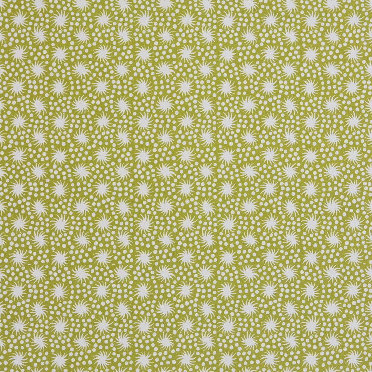 patterned paper • animalcules