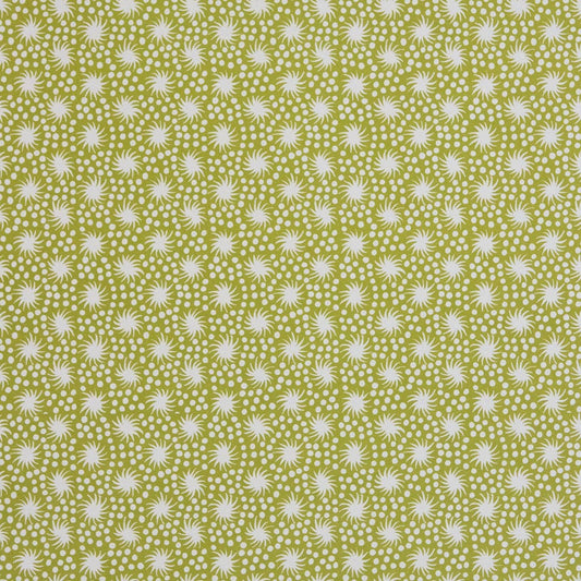 patterned paper • animalcules