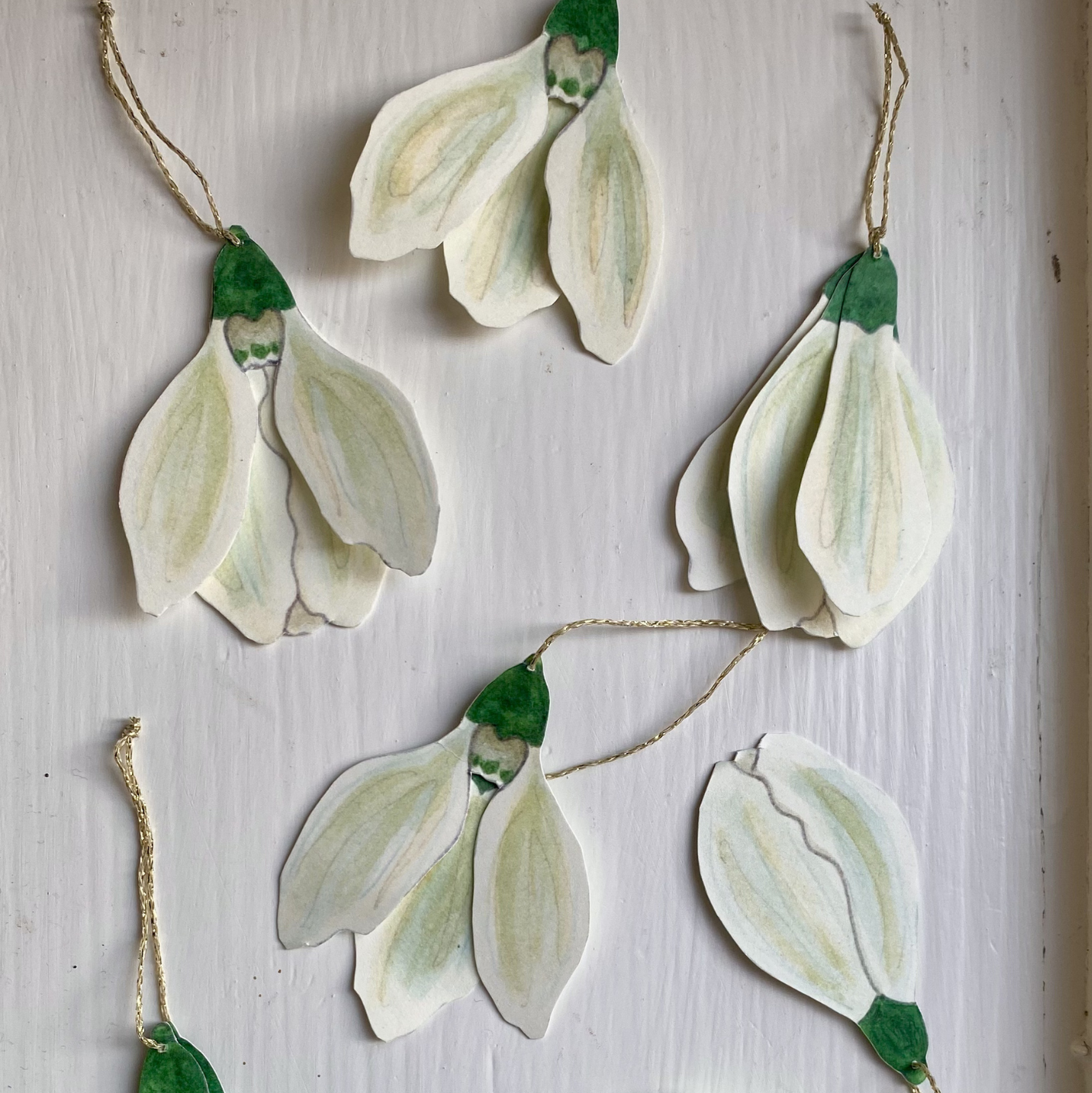 snowdrops · cutouts