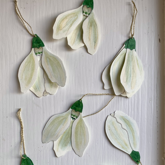 snowdrops · cutouts