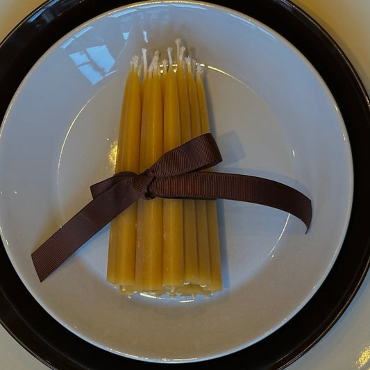 beeswax christmas tree candles