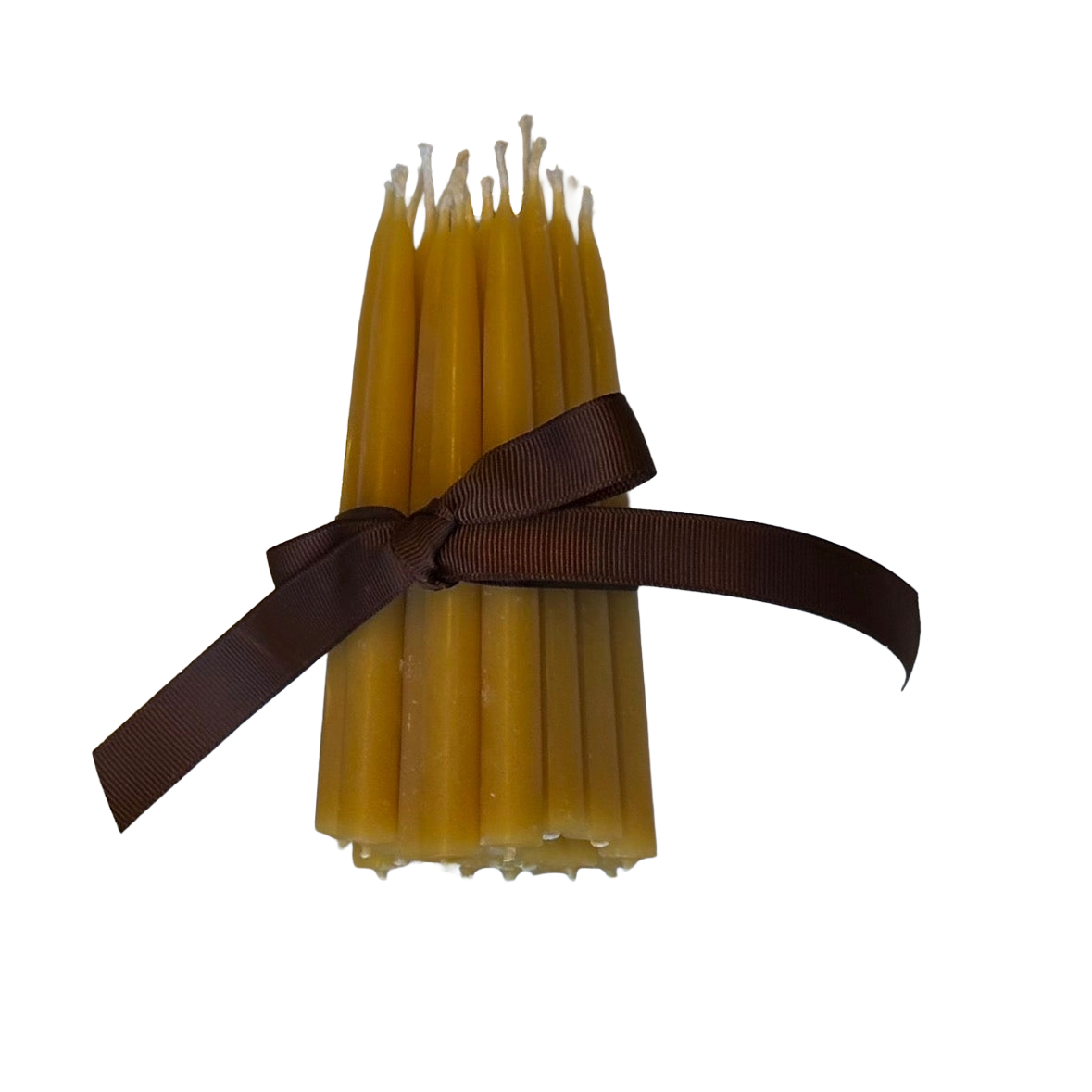 beeswax christmas tree candles