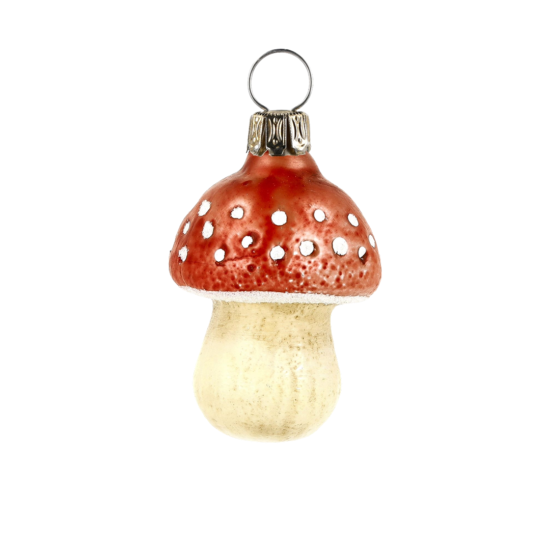 fly agaric