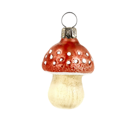 fly agaric