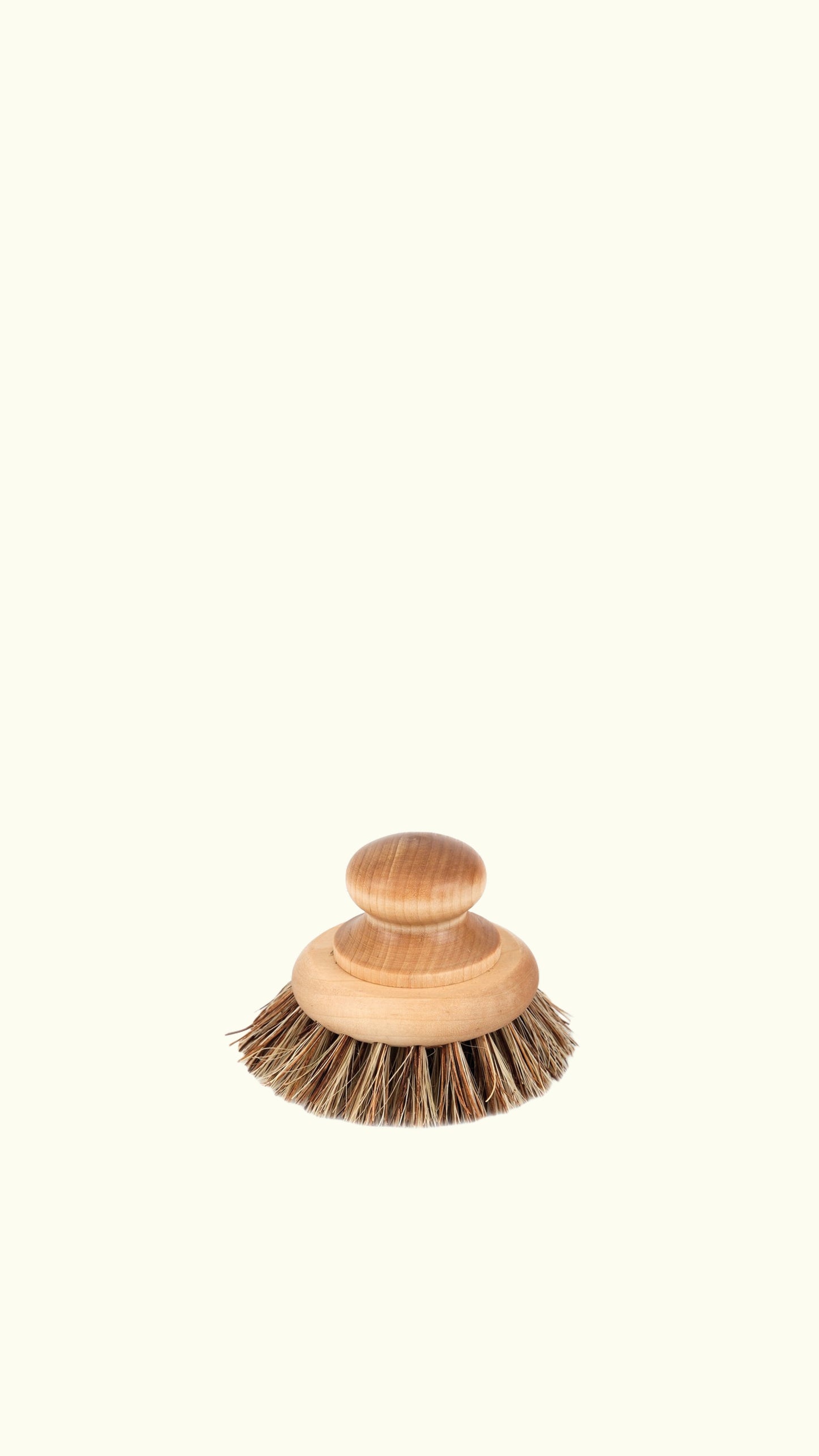 pan brush