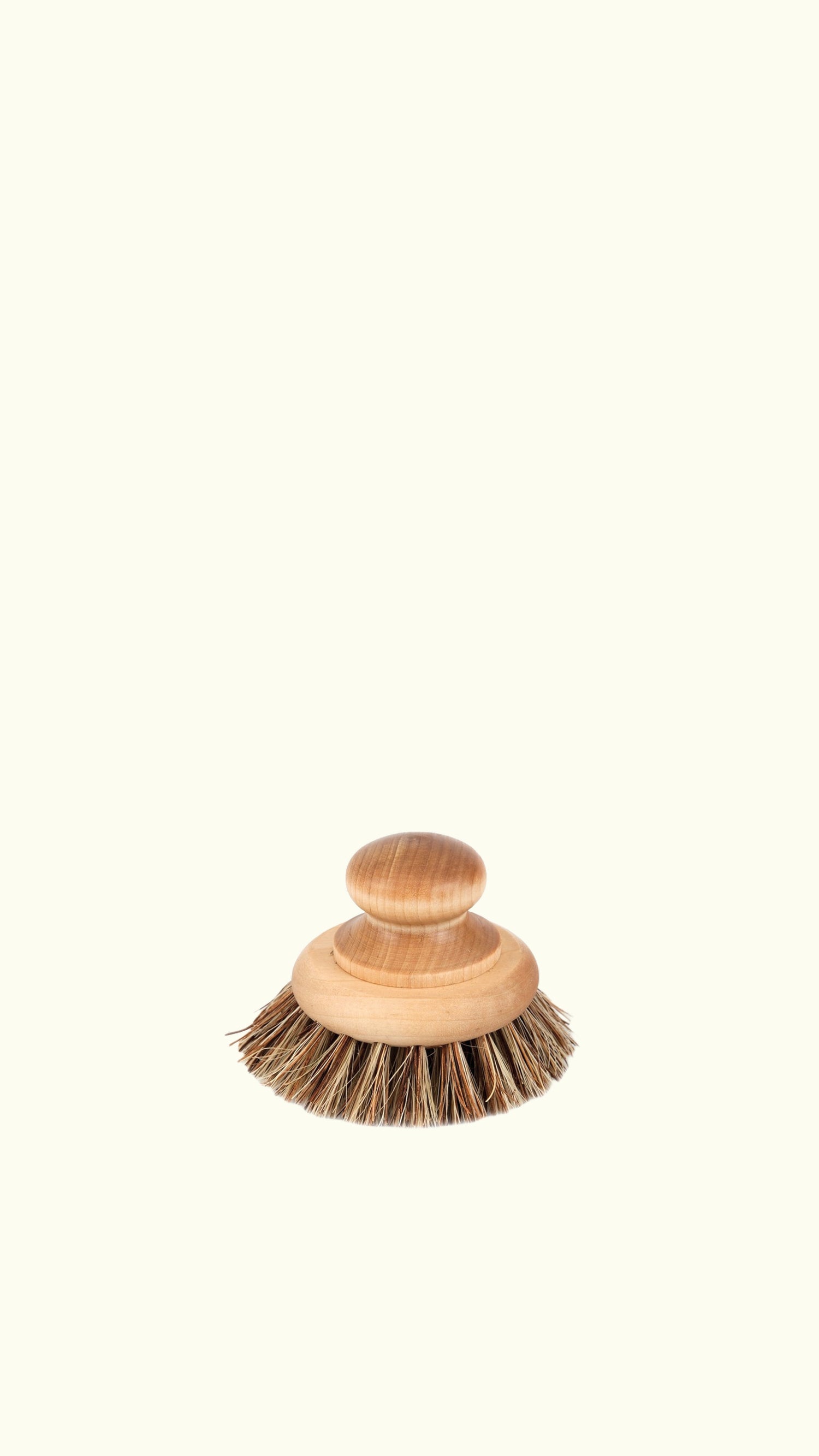 pan brush