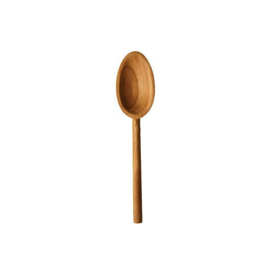cooking spoon